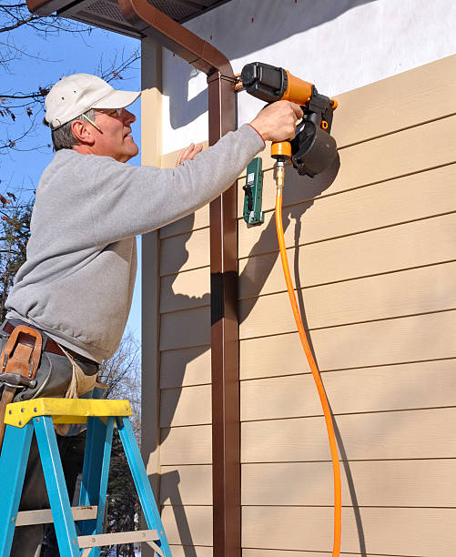 Best Storm Damage Siding Repair  in Rushford, MN